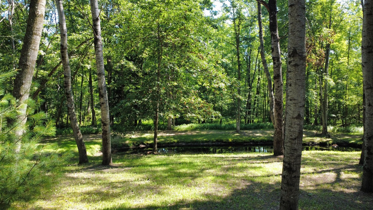 2867 East Hawley Road Custer, MI 49405 - Photo 48 of 57 Gallery Image 48