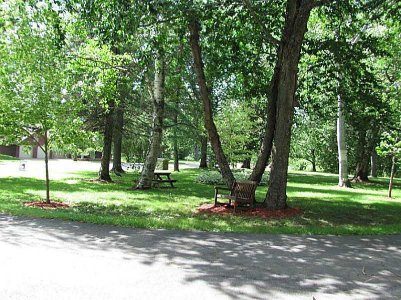 904 Lake Shore Road Madawaska, ME 04773 - Photo 10 of 34 Yard/Garden.