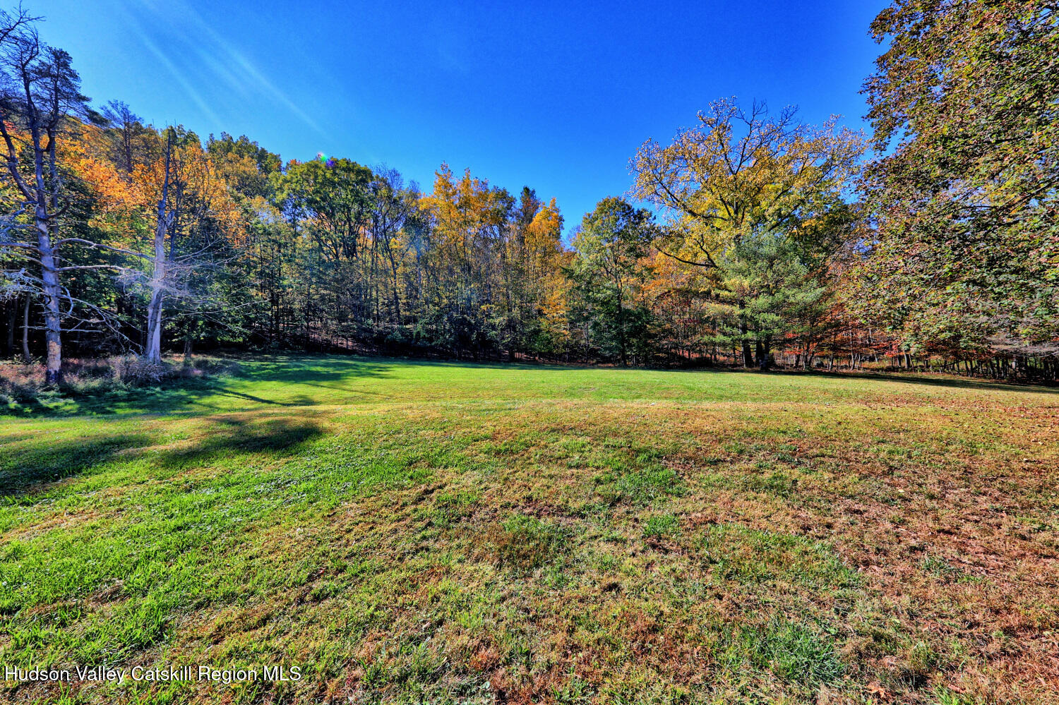 626 Bross Street Cairo, NY 12413 - Photo 56 of 78 a view of a field with trees in the background