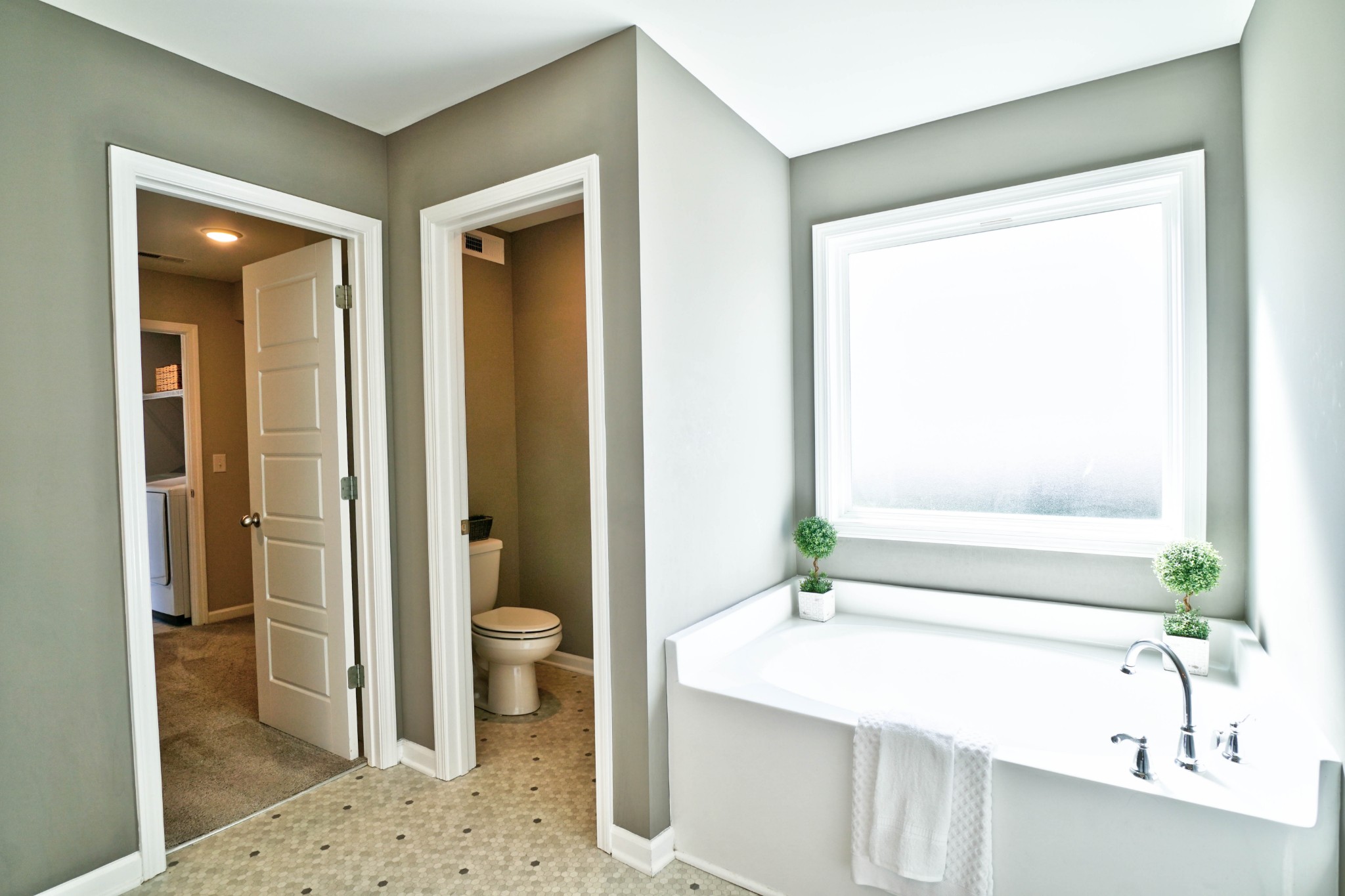 423 Skipping Stone Road Christiana, TN 37037 - Photo 10 of 21 Gallery Image 10