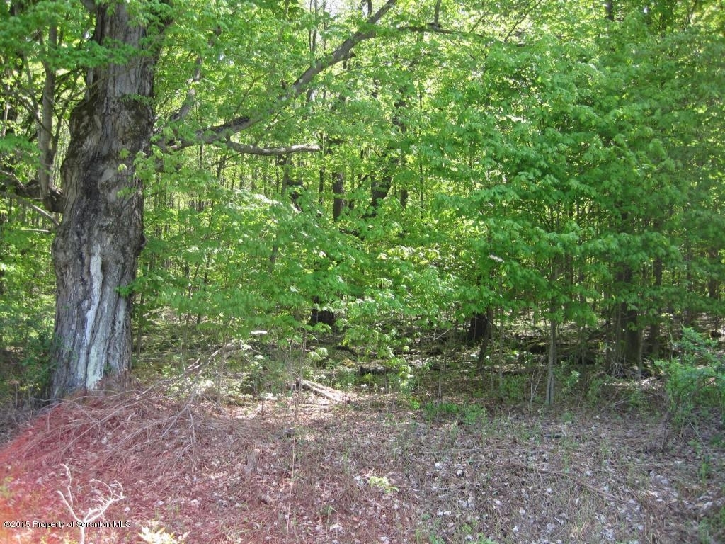 0 Lamb Road Thompson, PA 18465 - Photo 3 of 5 Gallery Image 3