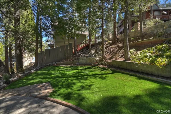 a view of a garden with plants