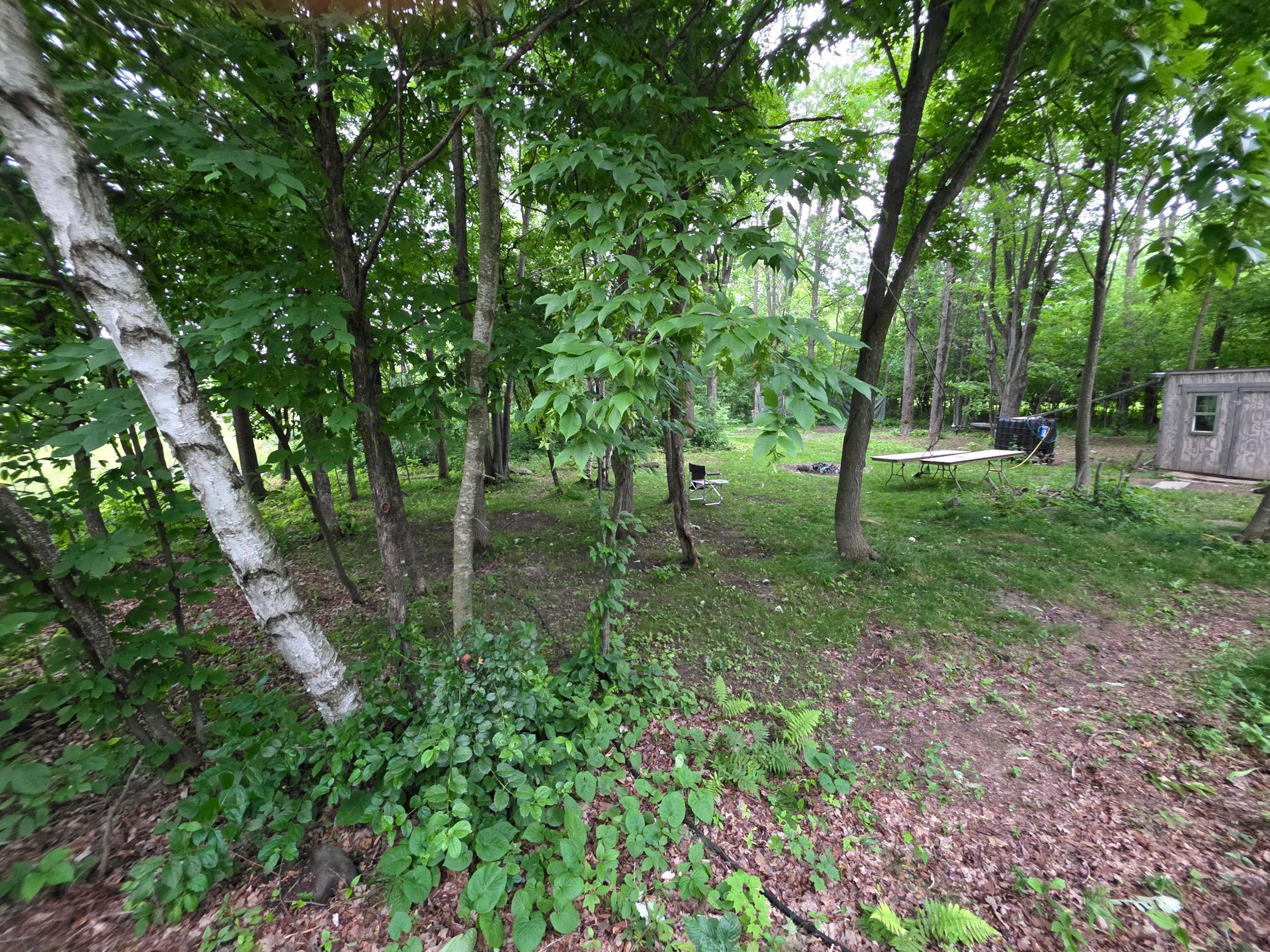 5098 177th Street Milaca, MN 56353 - Photo 43 of 44