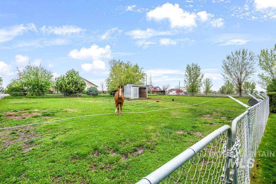 8271 Washoe Road Fruitland, ID 83619 - Photo 10 of 29 Expansive green pasture enclosed by a chain-link fence, featuring mature trees and a storage shed