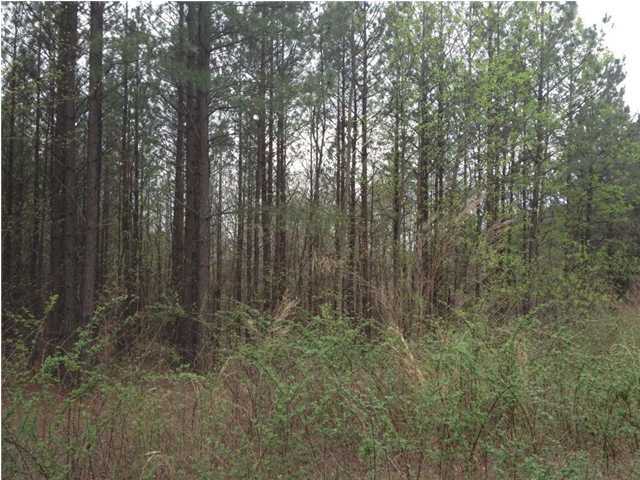 98 Brown Trace Road, Unit 98 Jasper, TN 37347 - Photo 8 of 31 Additional Photo