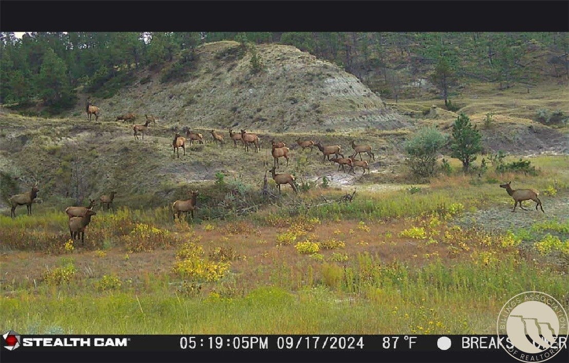 2168 Trophy Rdg Lane Roy, MT 59471 - Photo 27 of 36 Gallery Image 27