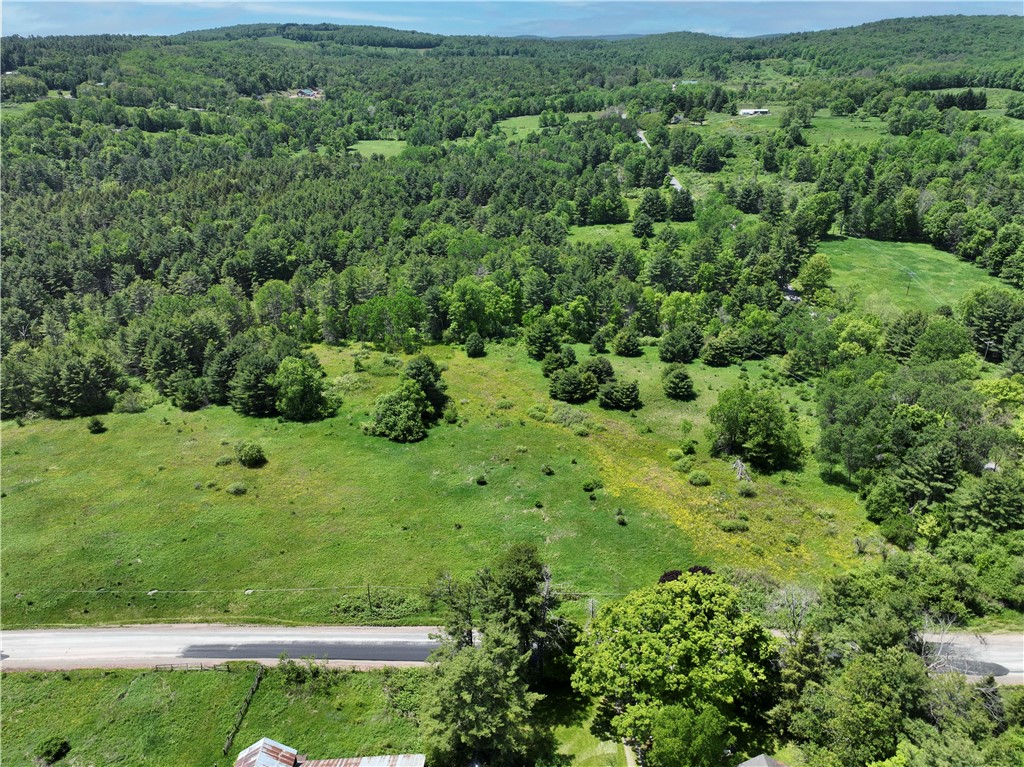Copes Corners Road South New Berlin, NY 13843 - Photo 2 of 10