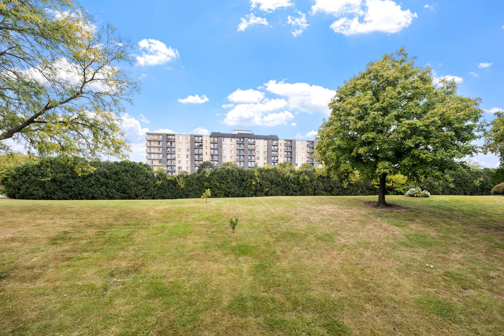 5540 Walnut Avenue, Unit 11B Downers Grove, IL 60515 - Photo 27 of 27 a view of an outdoor space and yard