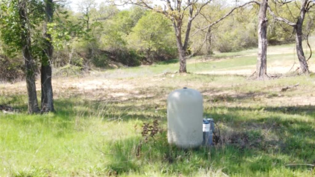 1031 Akin Road Poolville, TX 76487 - Photo 5 of 9 a view of a garden with large trees