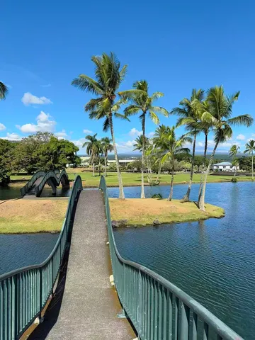 a view of a swimming pool with a lounge chairs