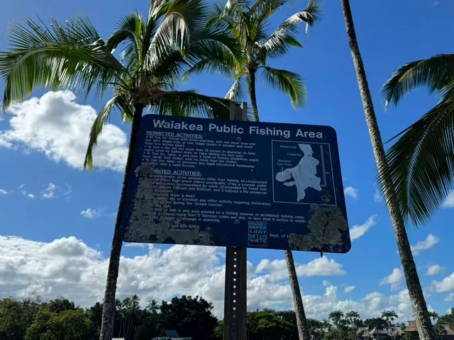 a view of a palm tree with sign on a wall