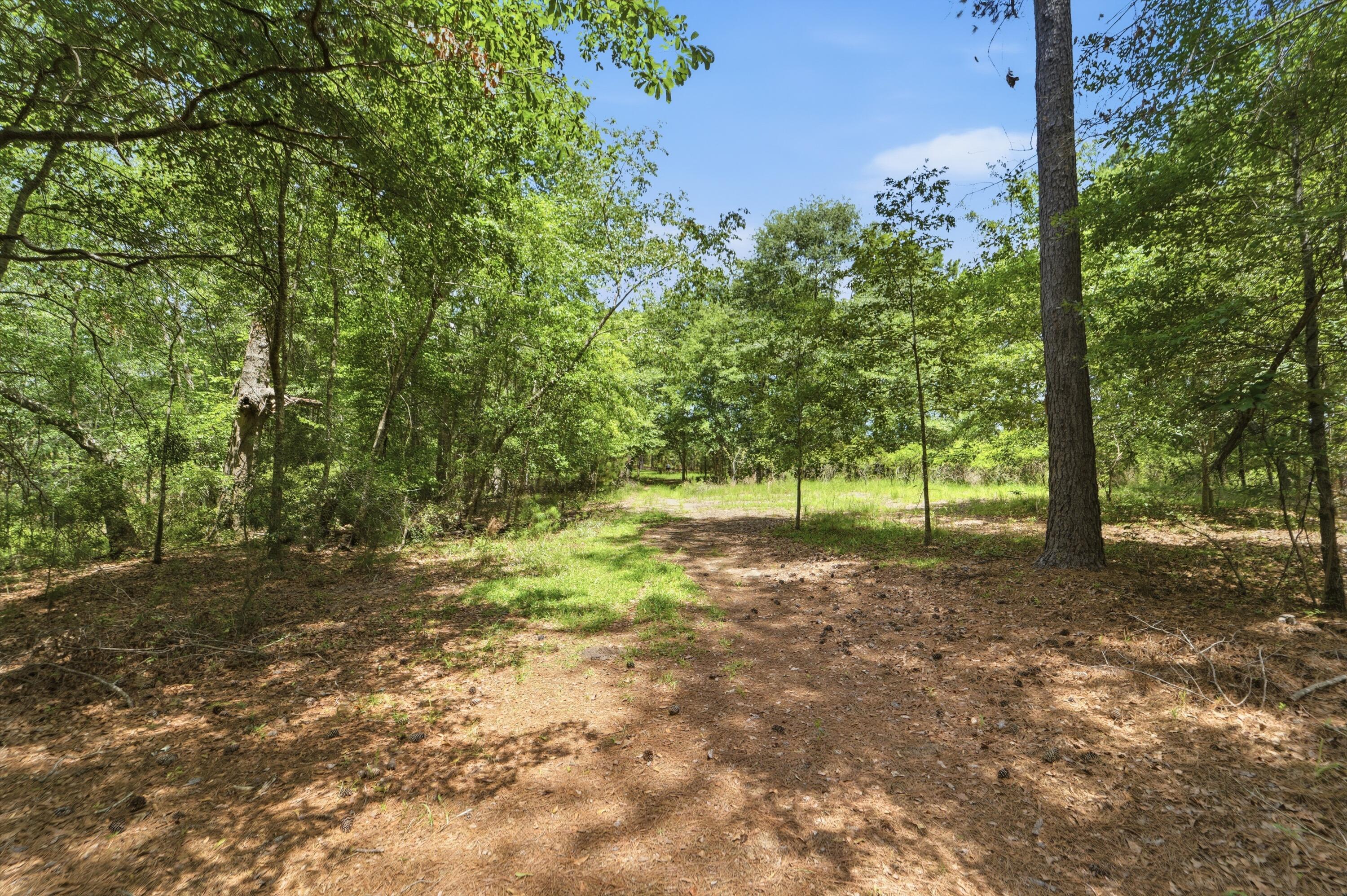 1530 Catfish Lane Manning, SC 29102 - Photo 16 of 37 wooded lot