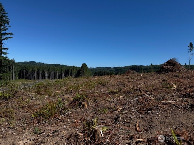 6 Nelson Road Winlock, WA 98596 - Photo 12 of 18