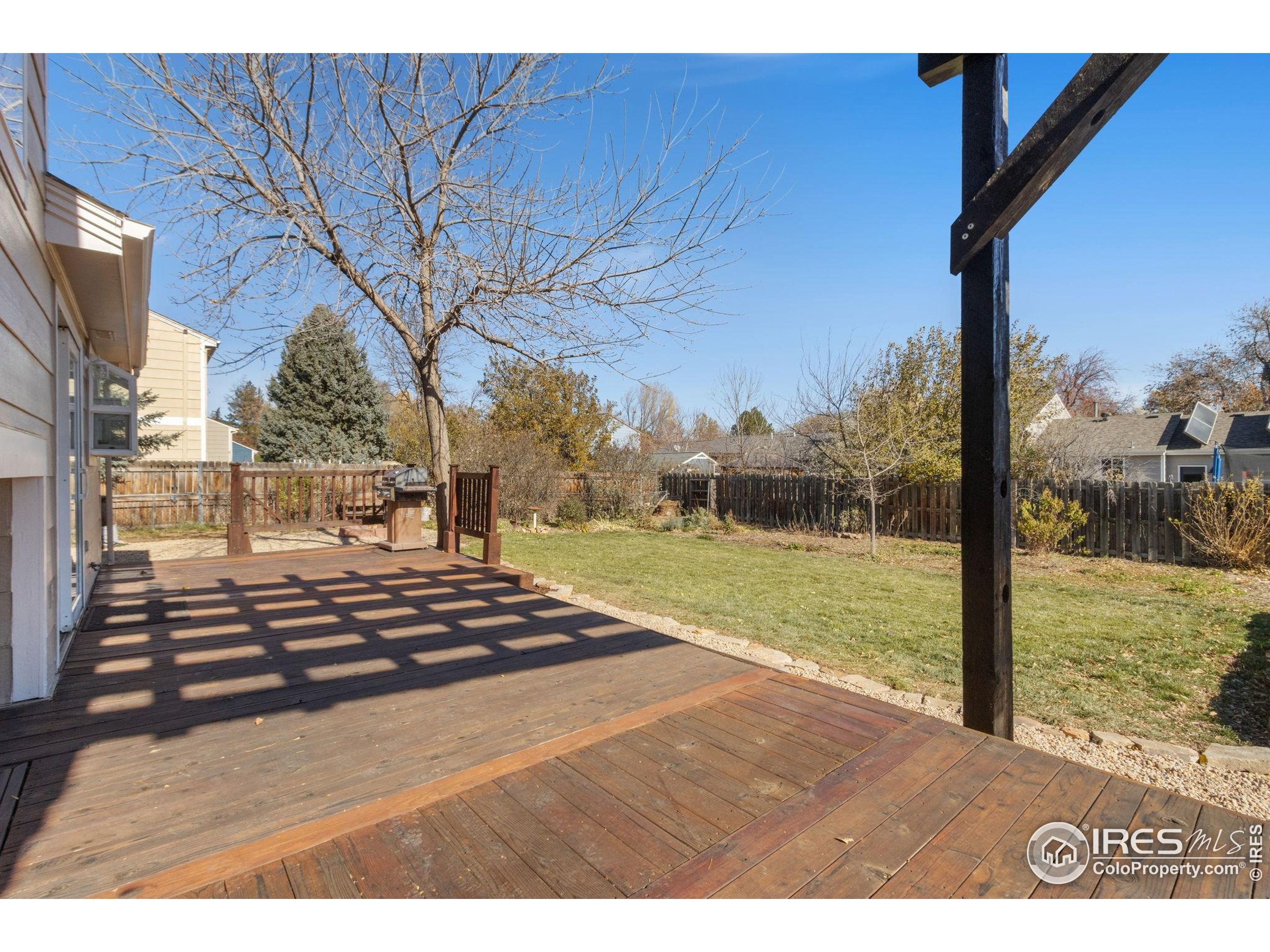 3024 Placer Court Fort Collins, CO 80526 - Photo 33 of 40 a view of a yard and car parked