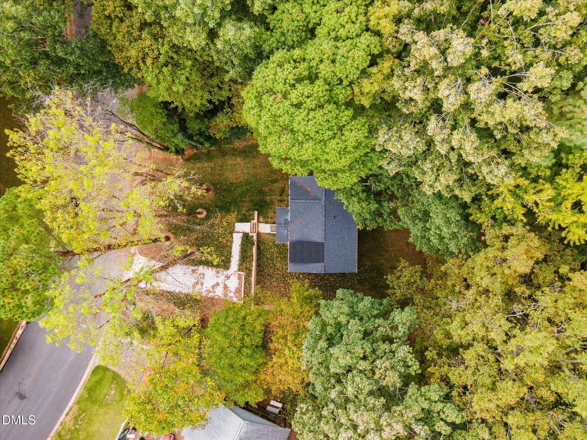 316 Howland Avenue Cary, NC 27513 - Photo 4 of 34 a picture of trees