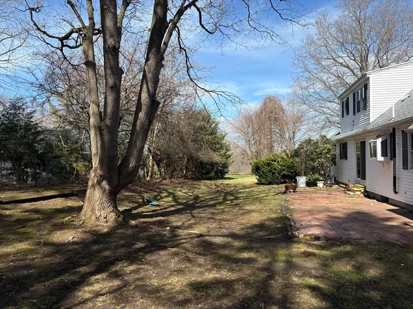 a view of a yard with plants and trees