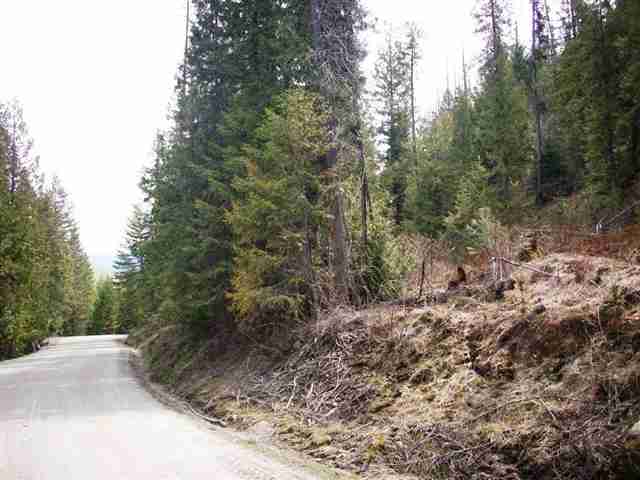 0 Lake Ellen Road Inchelium, WA 99138 - Photo 2 of 8
