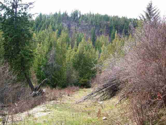 0 Lake Ellen Road Inchelium, WA 99138 - Photo 3 of 8