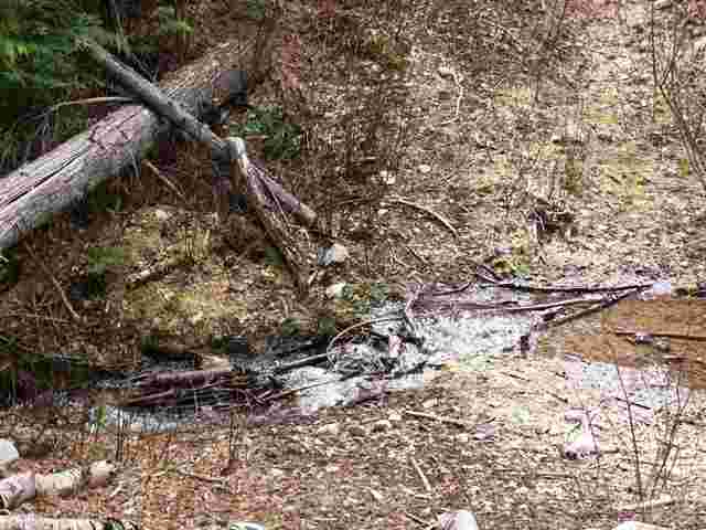 0 Lake Ellen Road Inchelium, WA 99138 - Photo 5 of 8