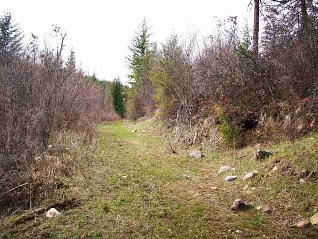 0 Lake Ellen Road Inchelium, WA 99138 - Photo 6 of 8