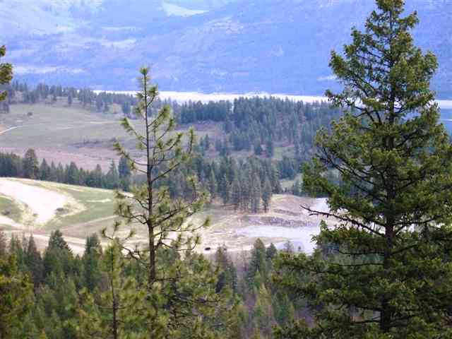 0 Lake Ellen Road Inchelium, WA 99138 - Photo 7 of 8