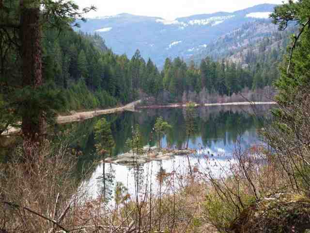 0 Lake Ellen Road Inchelium, WA 99138 - Photo 8 of 8