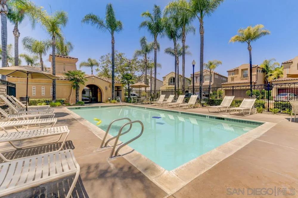11650 Miro Circle San Diego, CA 92131 - Photo 25 of 28 a view of a swimming pool with a lawn chairs under palm trees