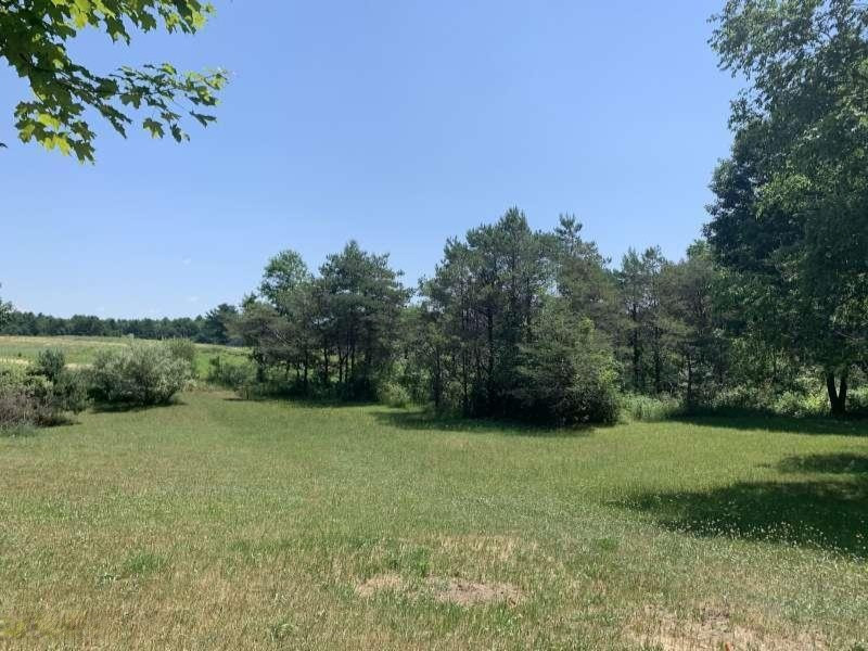 838 North Stiles Road Ludington, MI 49431 - Photo 5 of 26 Back Acreage