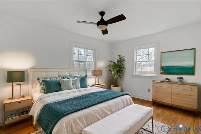 a view of a potted plant with a window