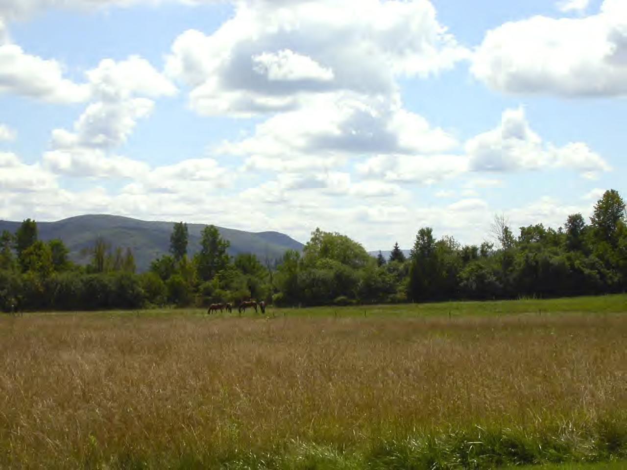 34 Prospect Hill Road Stockbridge, MA 01262 - Photo 10 of 12 a view of outdoor space and mountain view