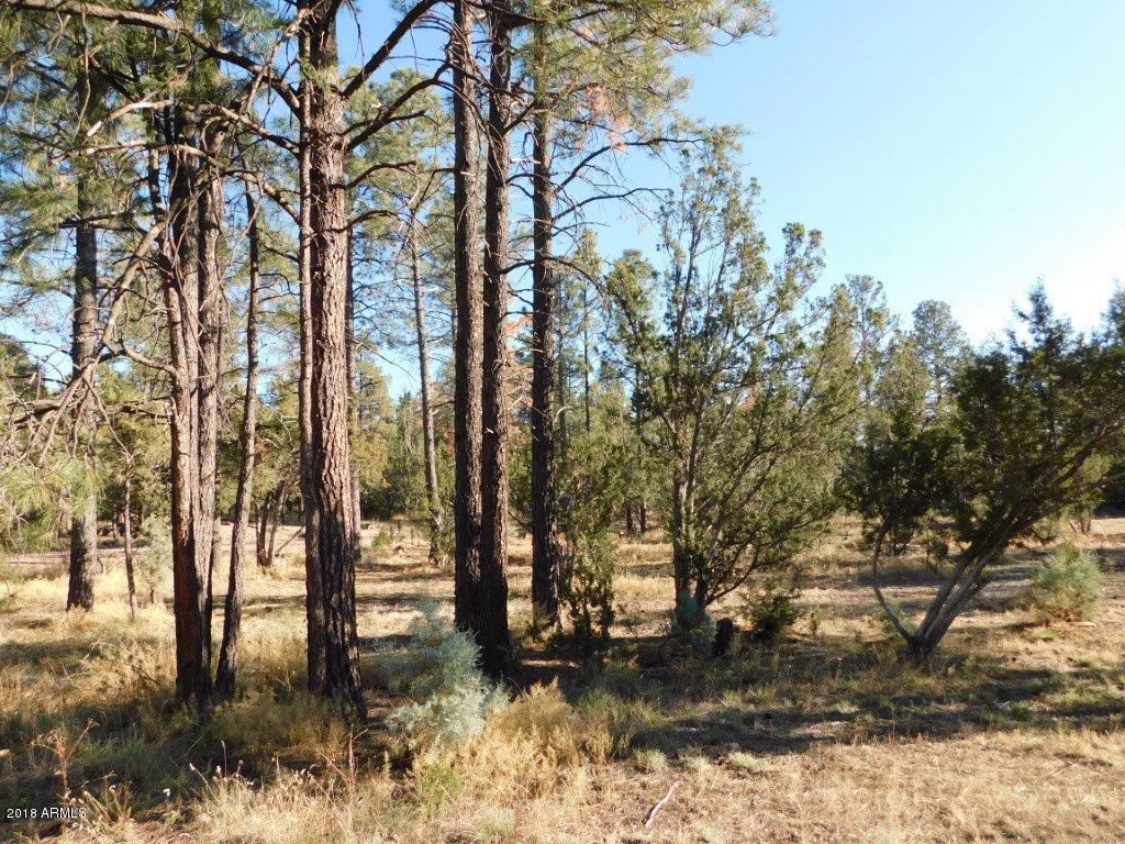2103 Round-Up Road, Unit 111 Overgaard, AZ 85933 - Photo 1 of 16 2103 Roundup Rd1