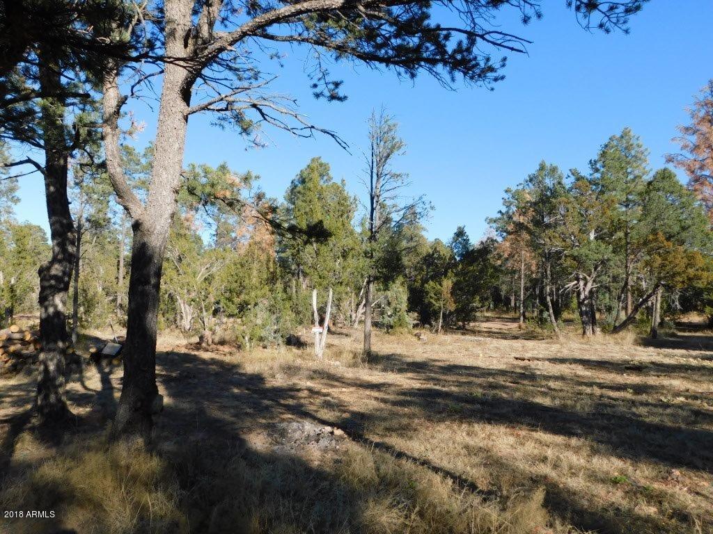 2103 Round-Up Road, Unit 111 Overgaard, AZ 85933 - Photo 11 of 16 Roundup Rd (11)