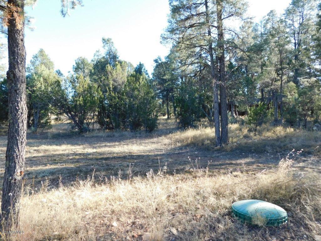 2103 Round-Up Road, Unit 111 Overgaard, AZ 85933 - Photo 12 of 16 Roundup Rd (12)