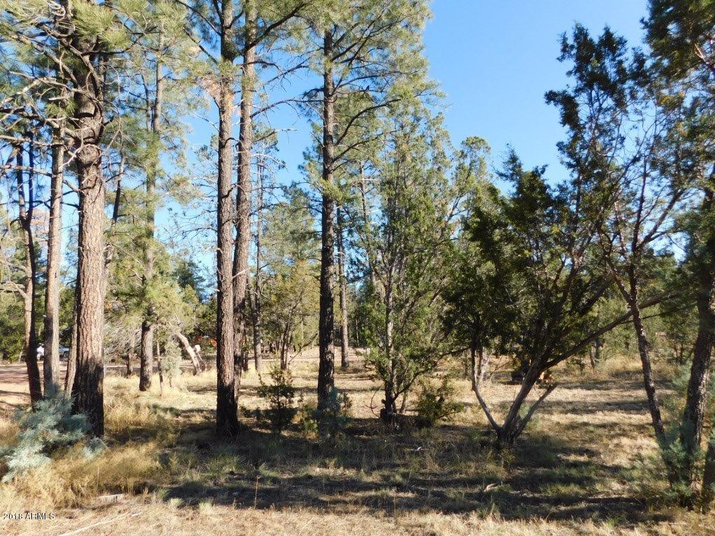 2103 Round-Up Road, Unit 111 Overgaard, AZ 85933 - Photo 2 of 16 Roundup Rd (2)