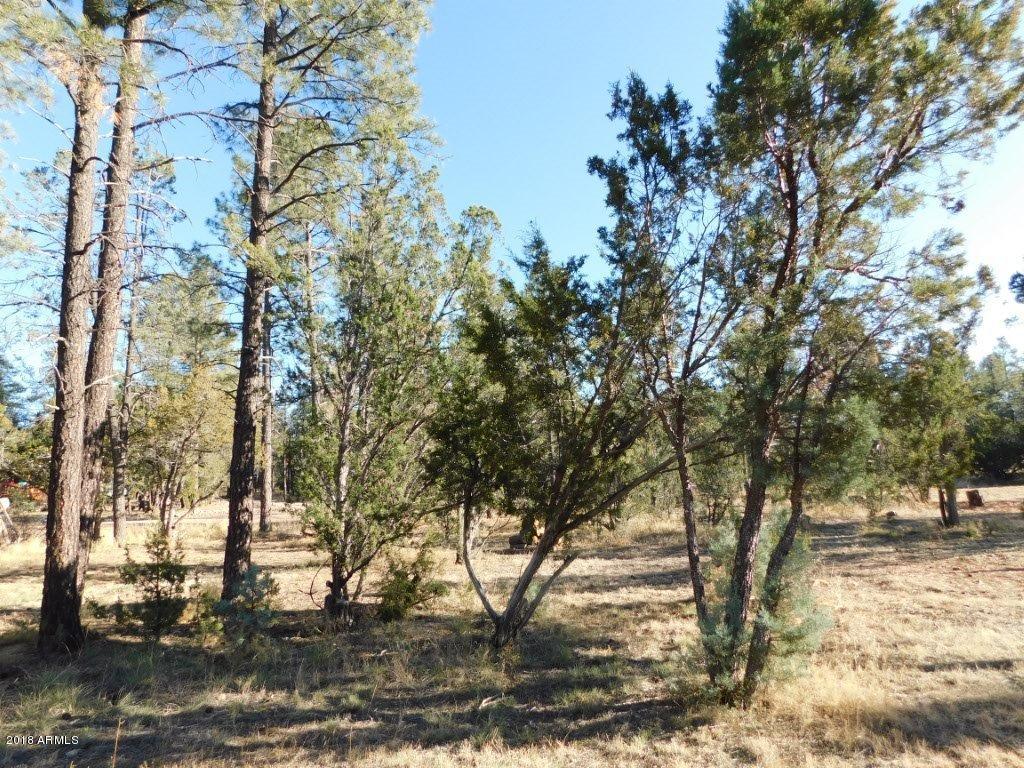 2103 Round-Up Road, Unit 111 Overgaard, AZ 85933 - Photo 3 of 16 Roundup Rd (3)