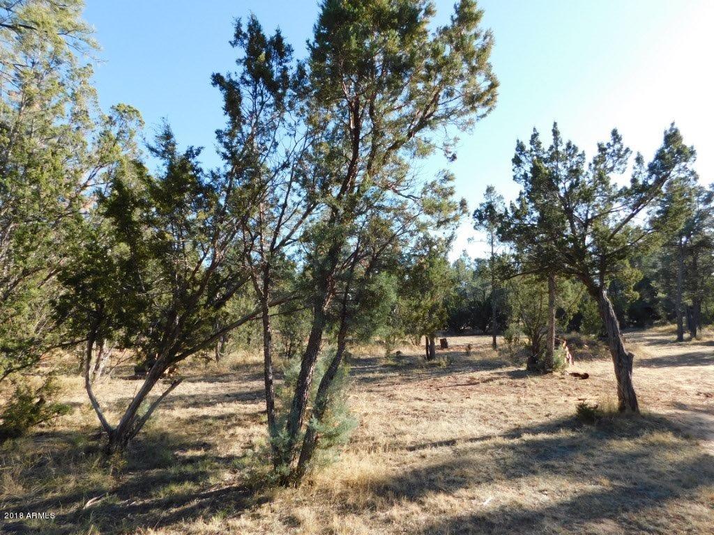 2103 Round-Up Road, Unit 111 Overgaard, AZ 85933 - Photo 4 of 16 Roundup Rd (4)