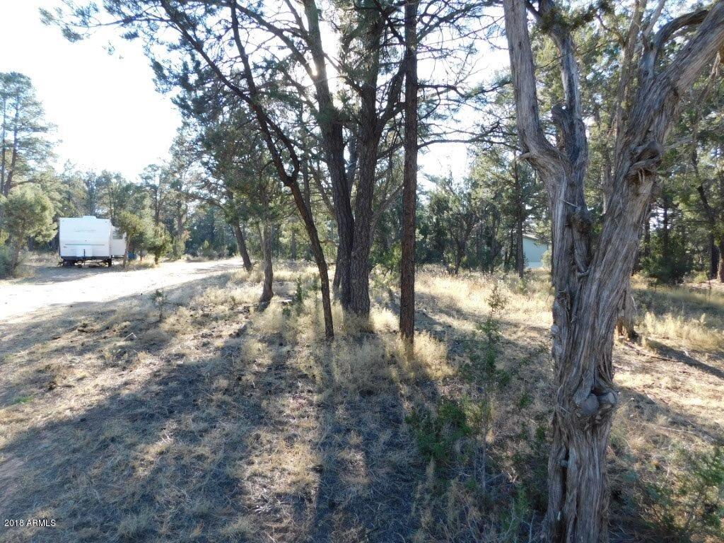 2103 Round-Up Road, Unit 111 Overgaard, AZ 85933 - Photo 5 of 16 Roundup Rd (5)