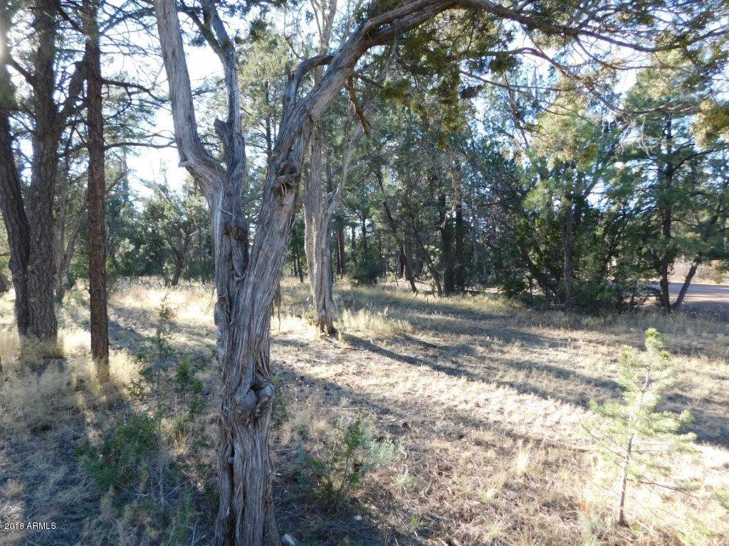 2103 Round-Up Road, Unit 111 Overgaard, AZ 85933 - Photo 6 of 16 Roundup Rd (6)