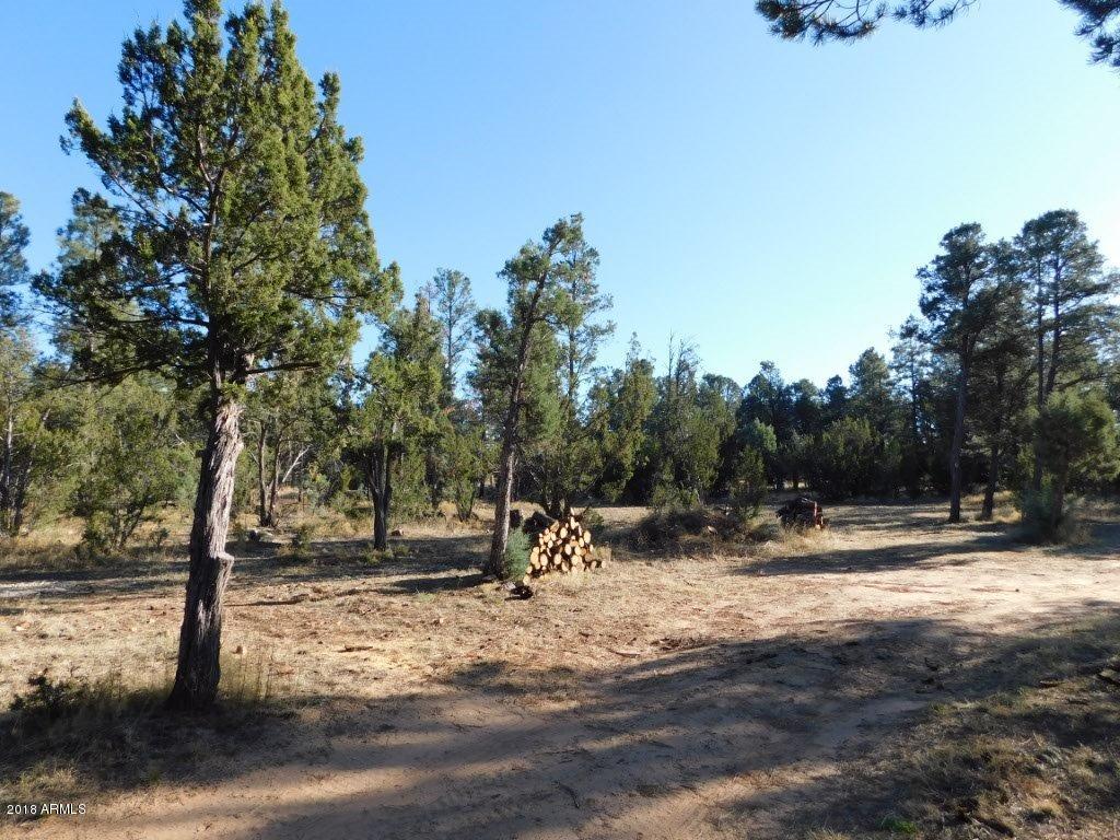 2103 Round-Up Road, Unit 111 Overgaard, AZ 85933 - Photo 7 of 16 Roundup Rd (7)