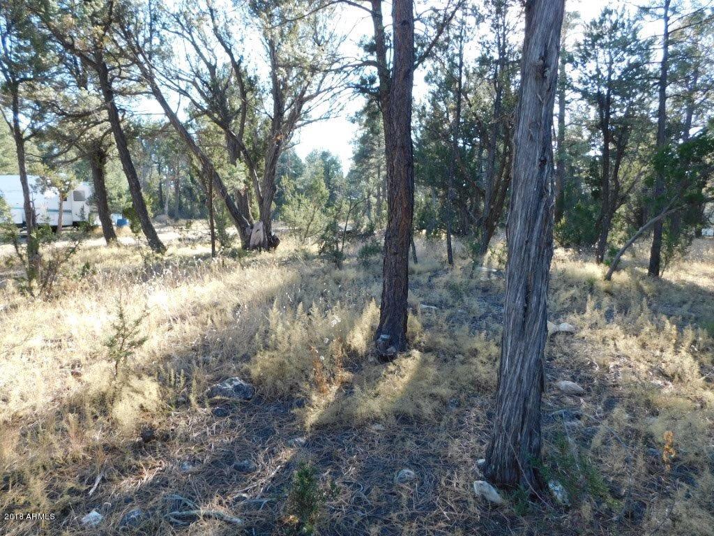 2103 Round-Up Road, Unit 111 Overgaard, AZ 85933 - Photo 8 of 16 Roundup Rd (8)