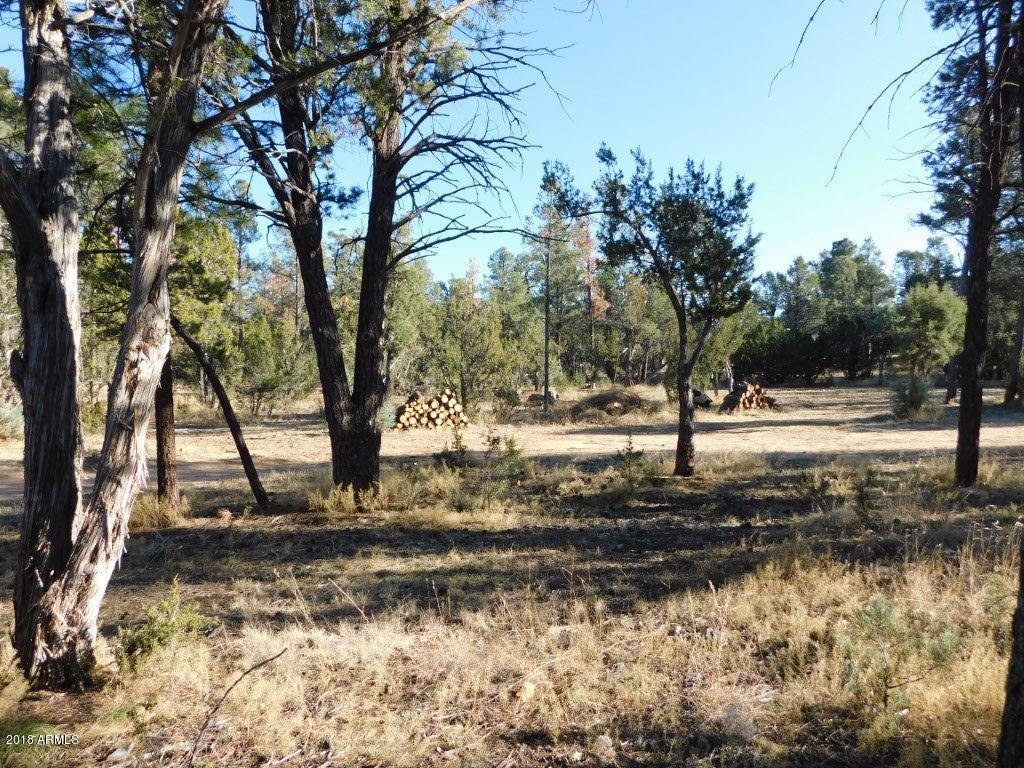 2103 Round-Up Road, Unit 111 Overgaard, AZ 85933 - Photo 9 of 16 Roundup Rd (9)