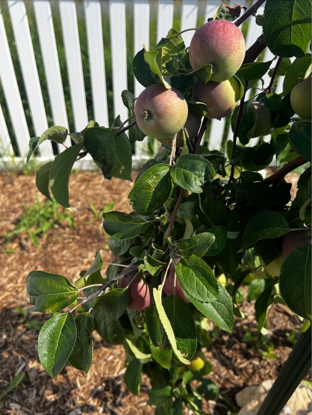 7108 Reston Heights Drive Madison, WI 53718 - Photo 40 of 50