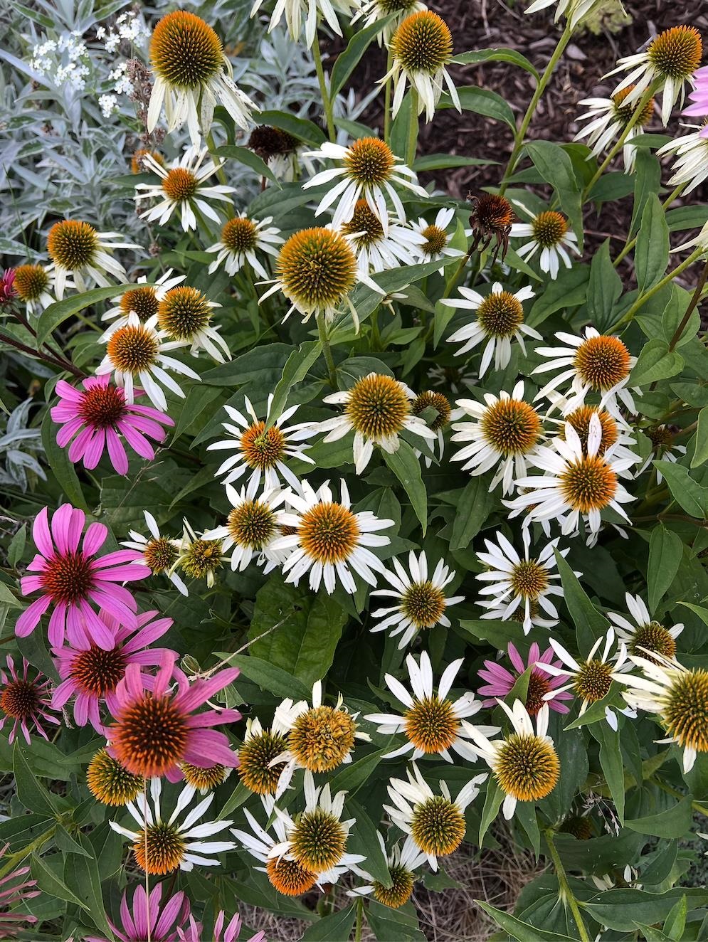 7108 Reston Heights Drive Madison, WI 53718 - Photo 43 of 50