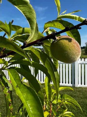 $499,900 | 7108 Reston Heights Drive, Madison, WI 53718