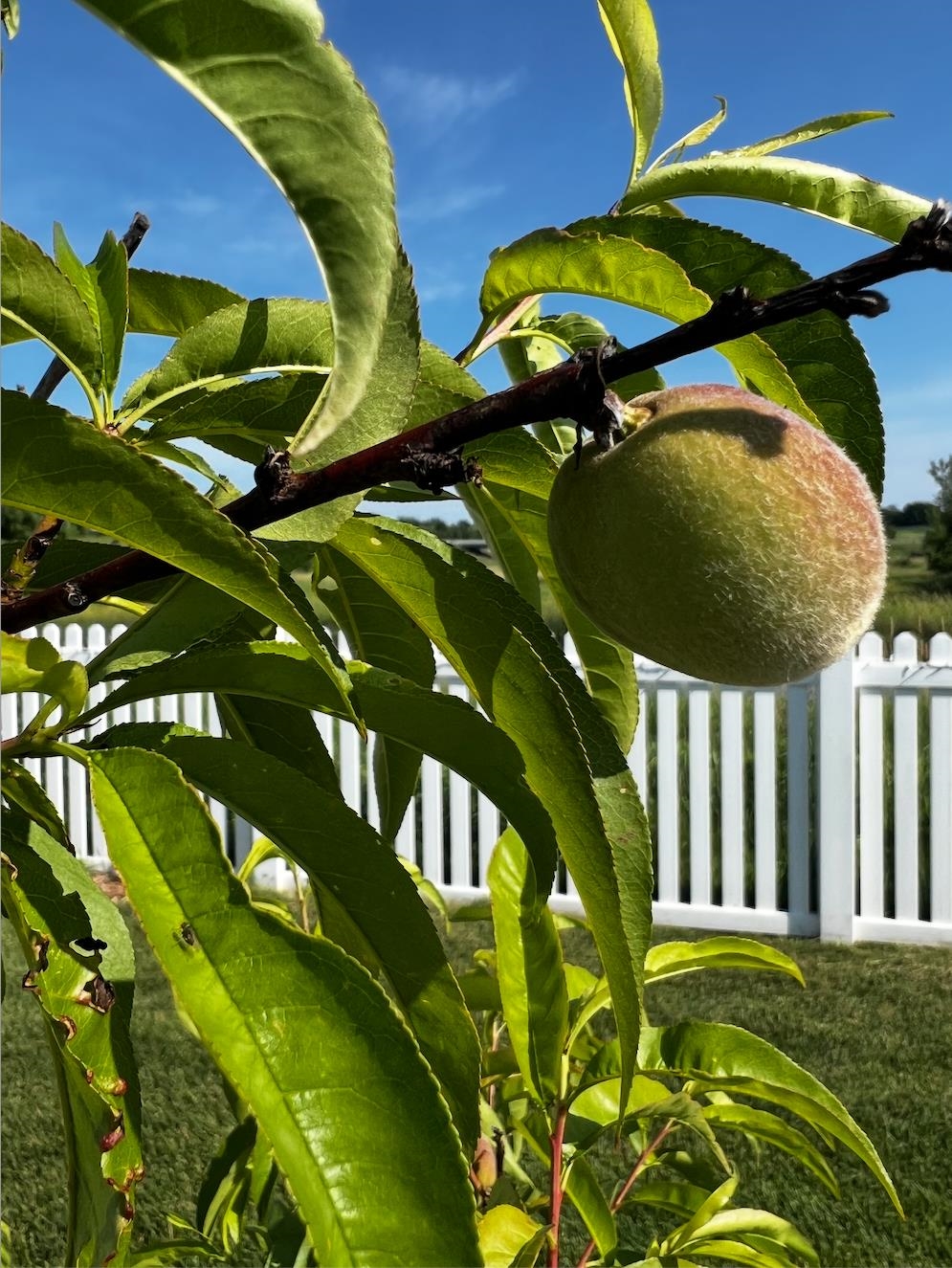 7108 Reston Heights Drive Madison, WI 53718 - Photo 48 of 50
