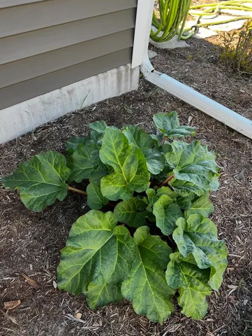 $499,900 | 7108 Reston Heights Drive, Madison, WI 53718