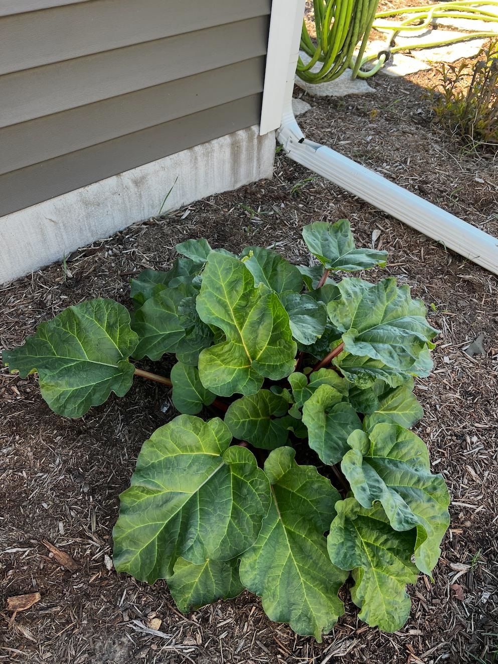 7108 Reston Heights Drive Madison, WI 53718 - Photo 49 of 50