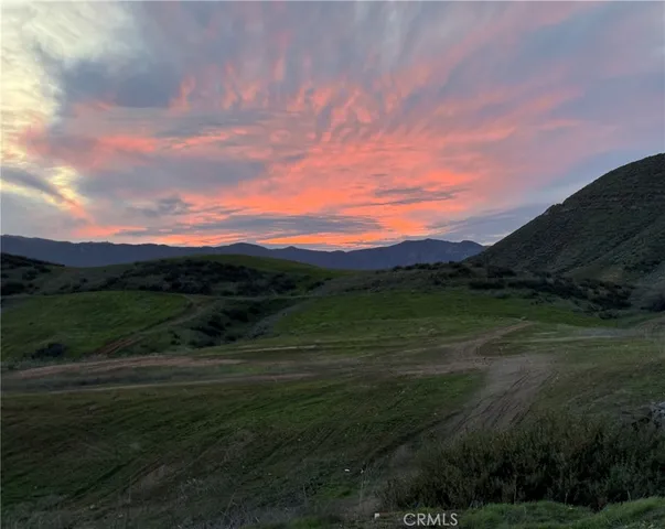 a view of a grassy field with trees