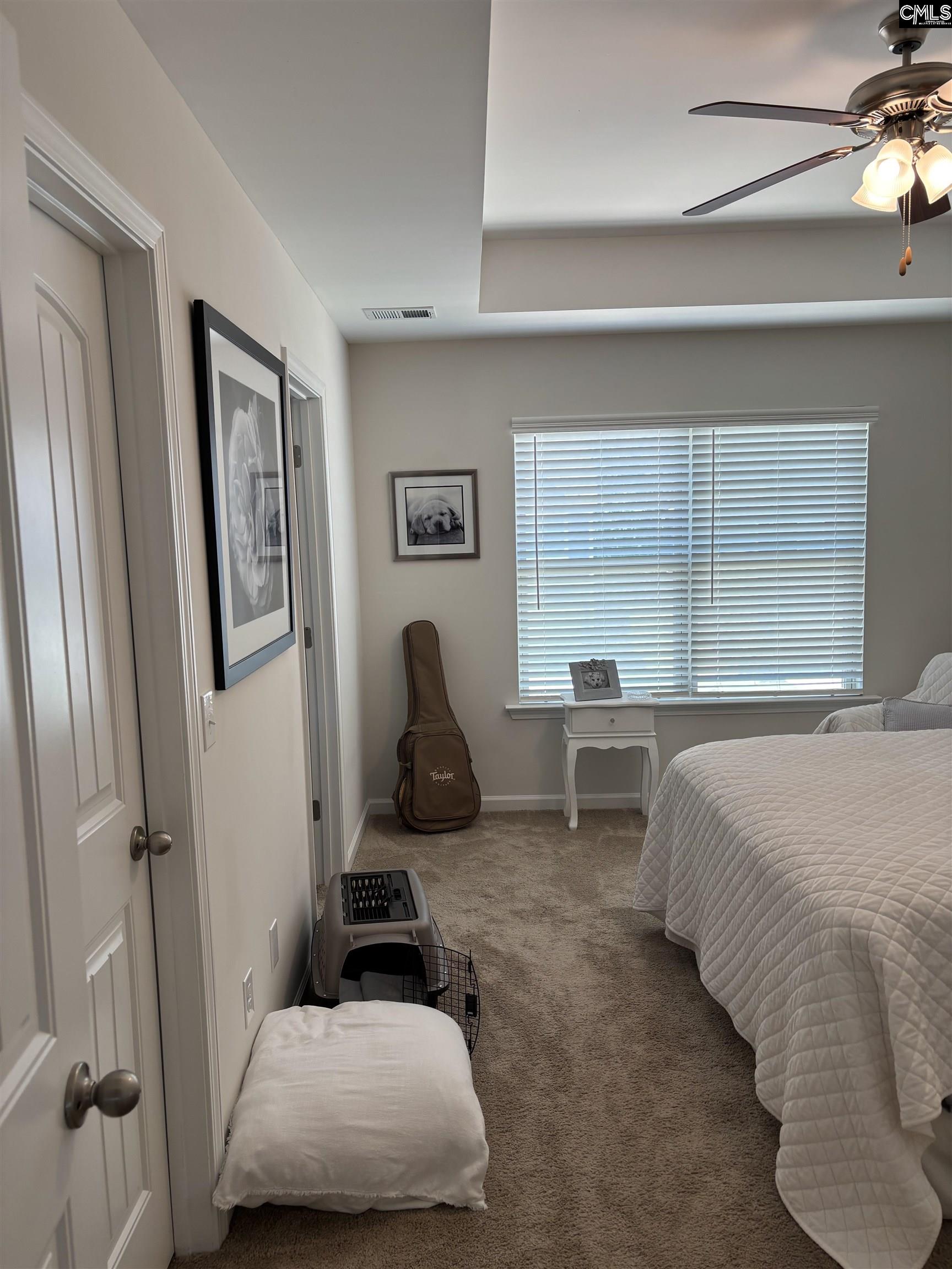 154 Wahoo Circle Irmo, SC 29063 - Photo 12 of 43