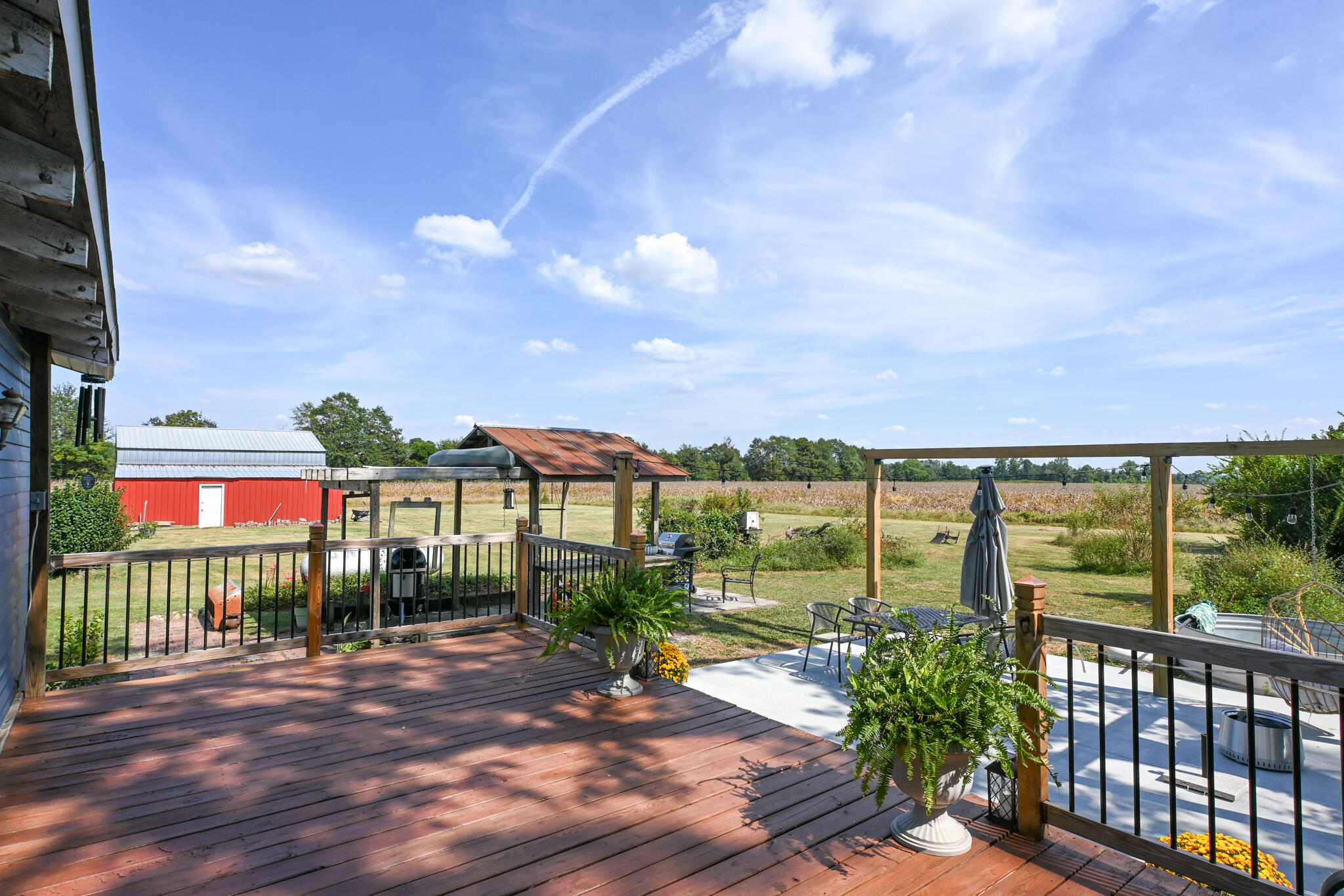 1339 McCreight Road Ridge Spring, SC 29129 - Photo 44 of 62